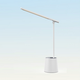 Dimmable LED Eye-Caring Desk Lamp,Touch Control, Memory Function